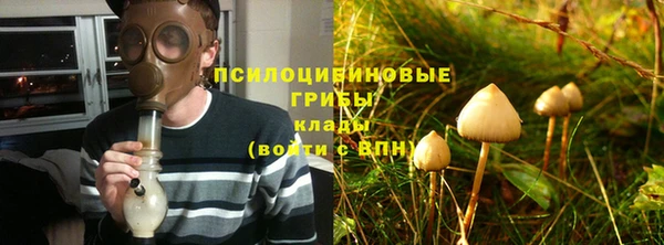 стафф Абаза